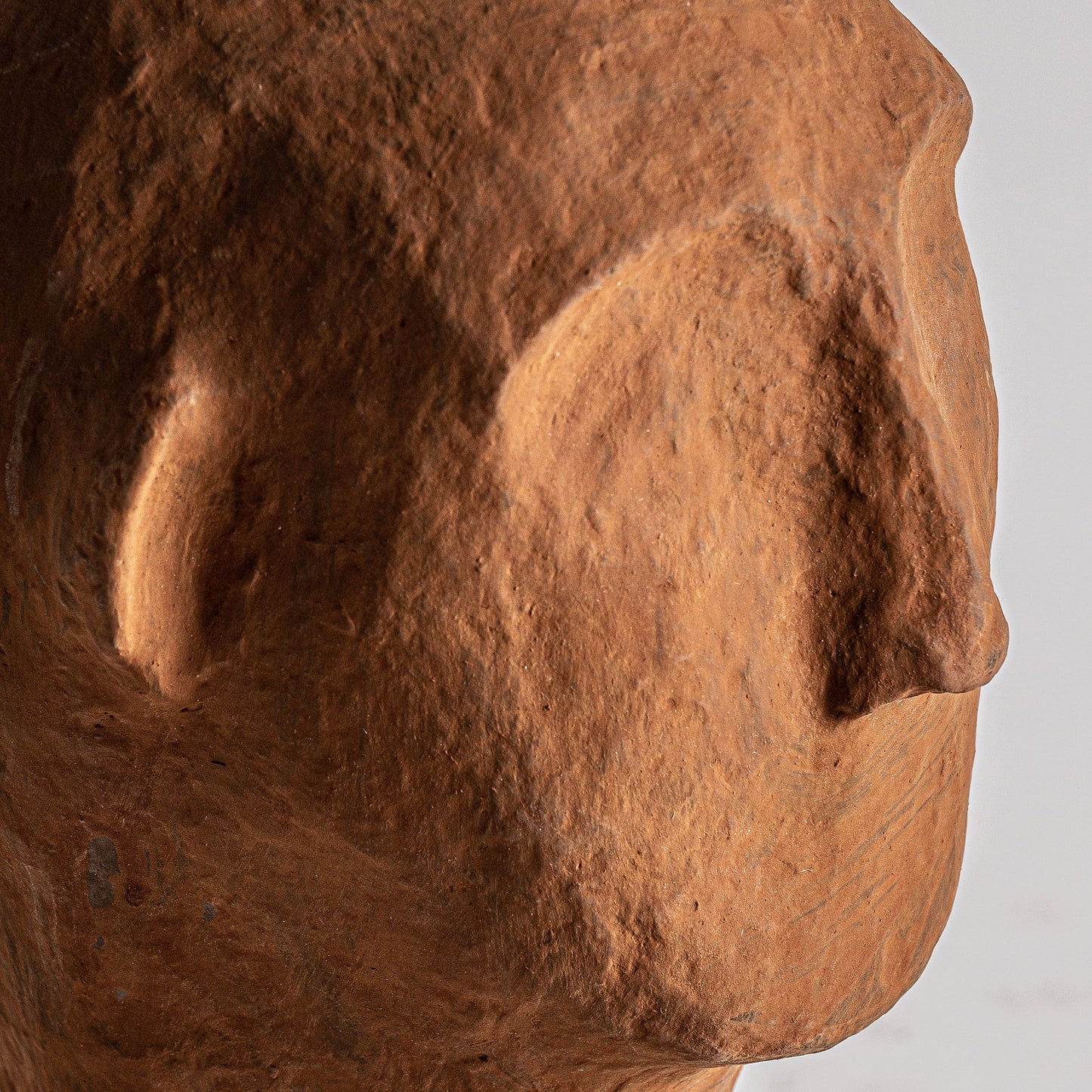 Busto Jam en Color Marrón