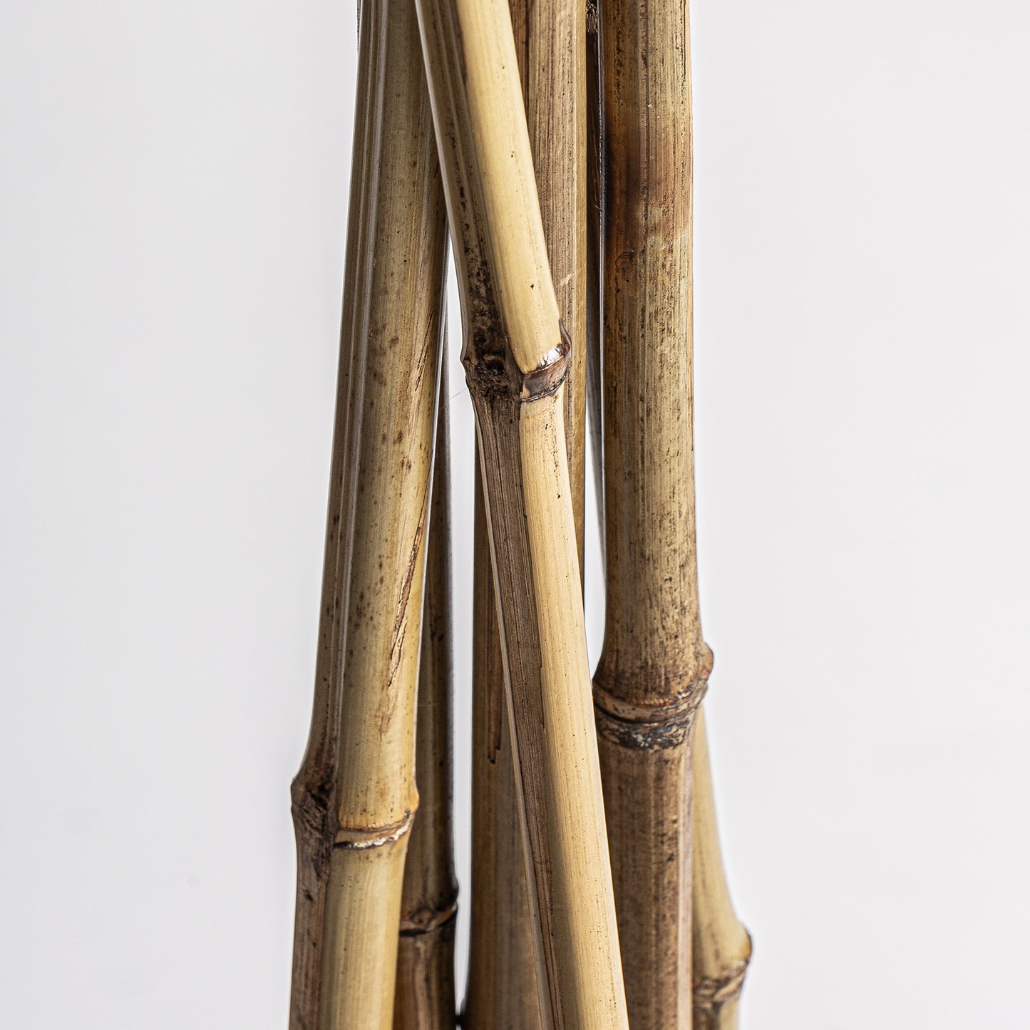 Decaration Branch (Set Of 6) - Black