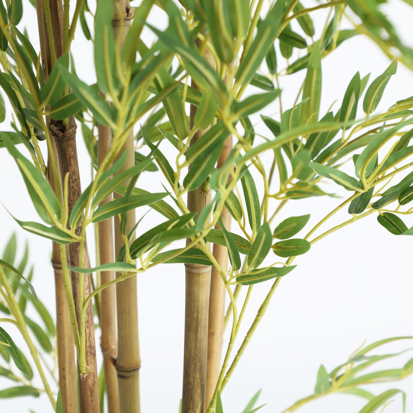 FN=LD37974_37974-02.jpg;SHA256=39e3cdd64069c15e6a41a28d7433bf0a8438505dbd5f7efe4f7053c8e566ded1