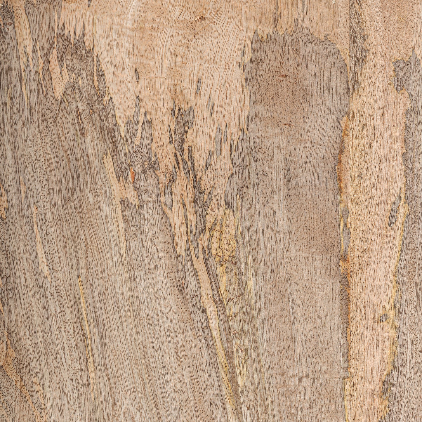 FN=VI37046_37046-05.jpg;SHA256=6b8e6d2e9e421322111f247a8752308bad3c50466c9f124c63ab57fddf59a338