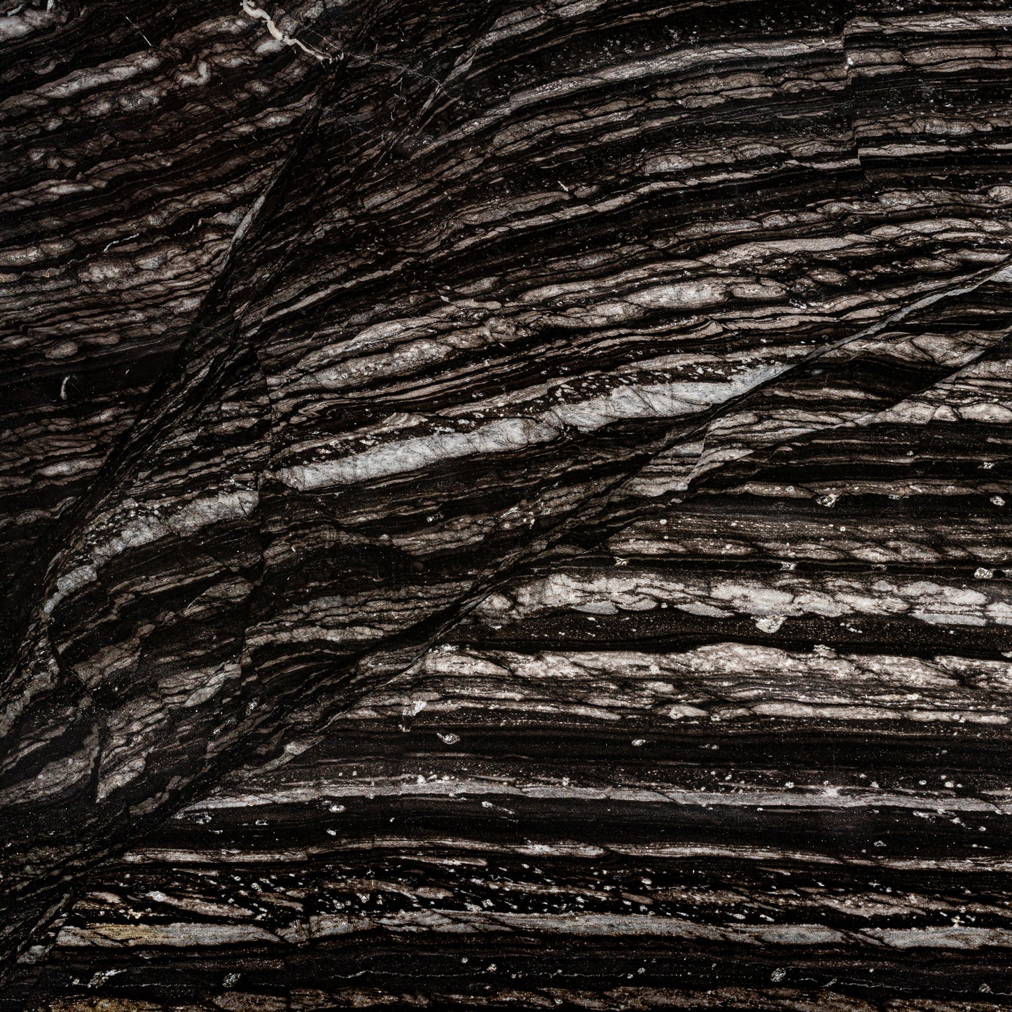 FN=VI37386_37386-04.jpg;SHA256=030f3f945e9103e3db5d11de57126452d5774b4444e05a9b1215e17917337702