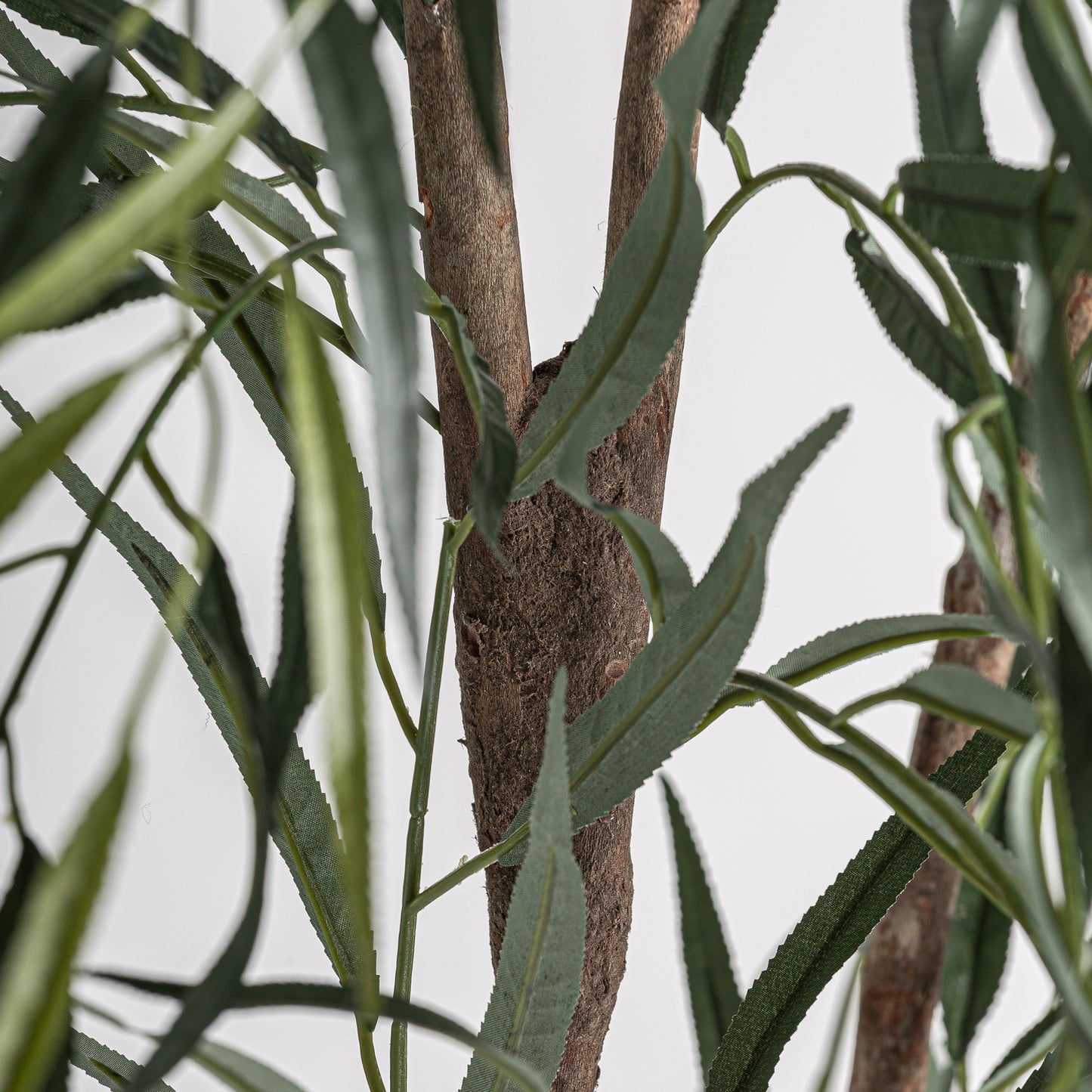 FN=VI37731_37731-02.jpg;SHA256=1455d4f9e07b1ff74a41c1401b43b65a842fc7fccd6dfcfa2fac742809ec46d9