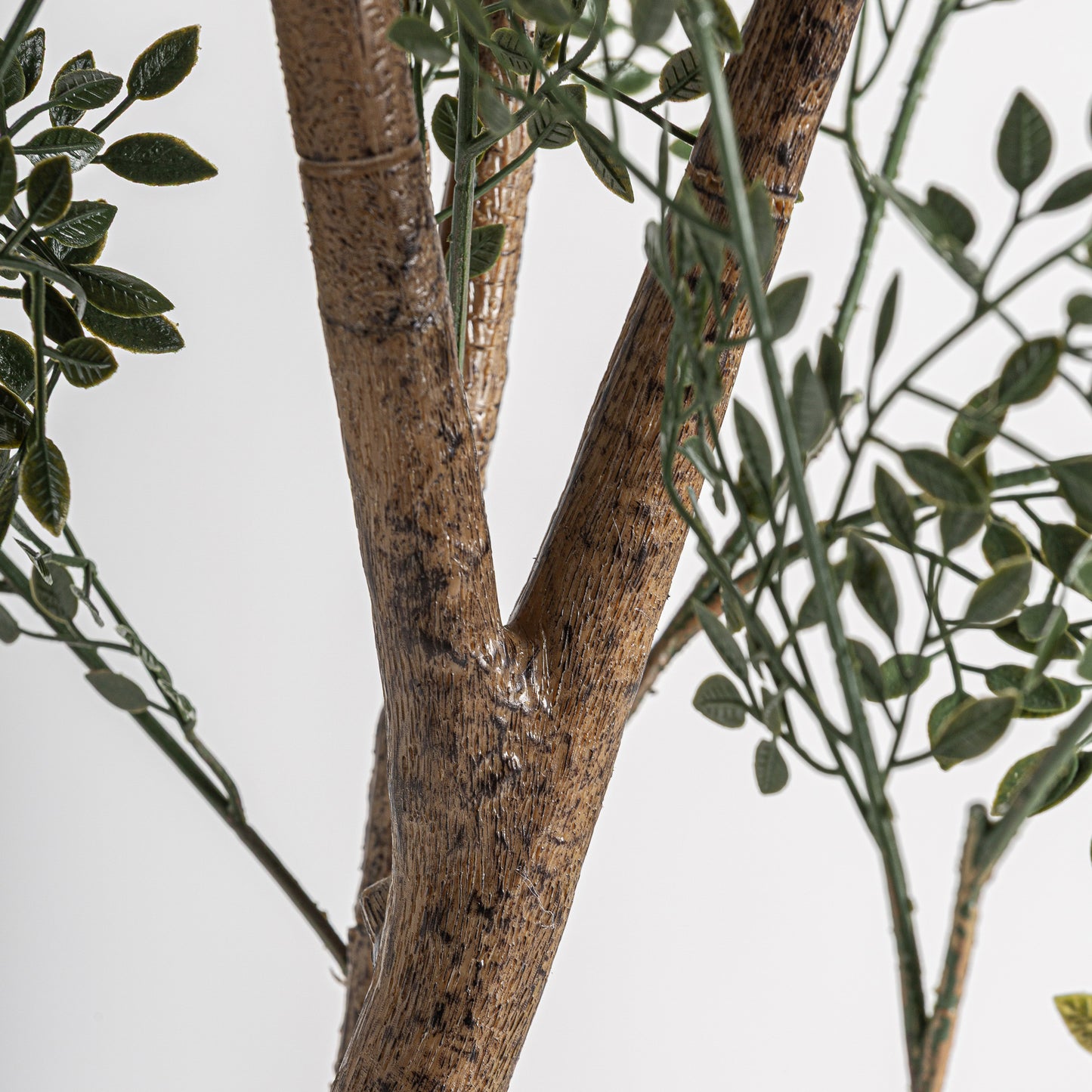 FN=VI37734_37734-02.jpg;SHA256=98d676dade516c97f625b374f22d3d0a4e410789154fd55ca35499600e11f84b