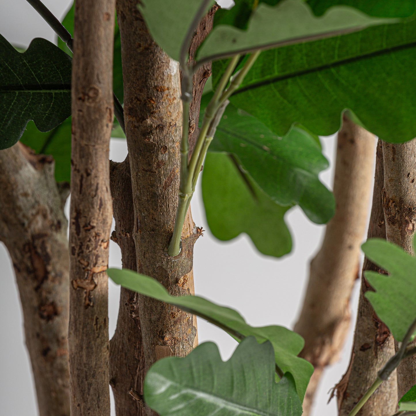 FN=VI37735_37735-03.jpg;SHA256=df1fca9238e1810d25bcb63646a825593326c1969feefd59ee8a43afcb10b37a