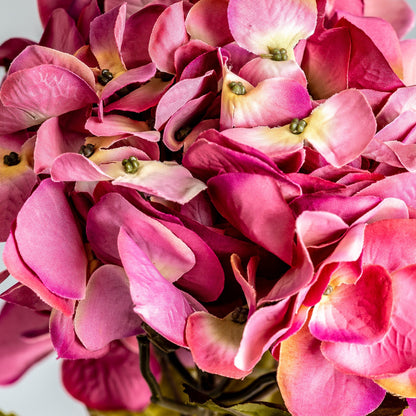 Flor Hortensia en Color Rosa