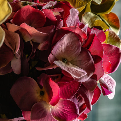 Flor Hortensia en Color Rosa