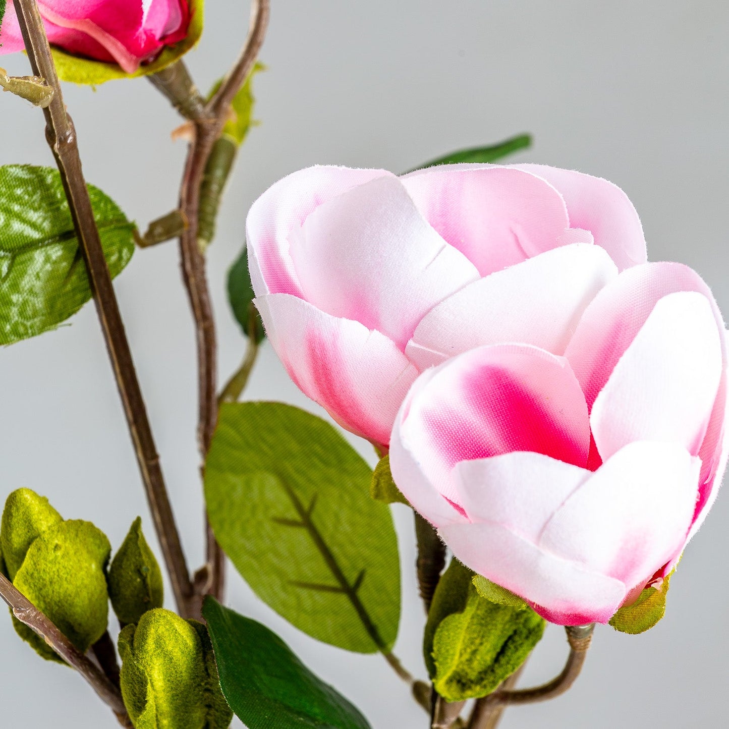 Flor Magnolia en Color Rosa