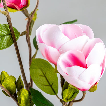 Flor Magnolia en Color Rosa