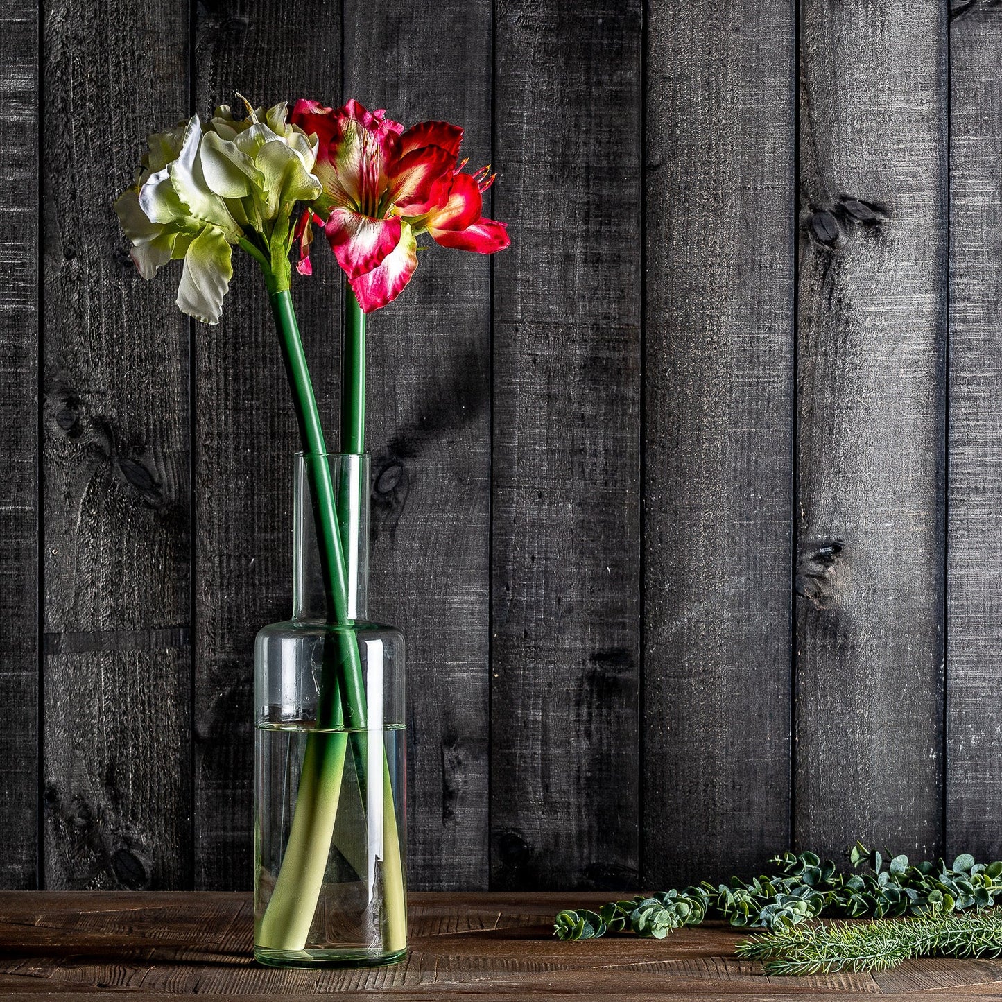 Flor Amaryllis en Color Fucsia