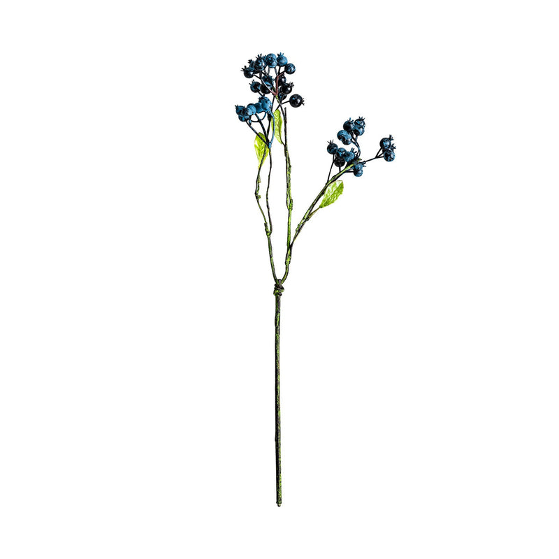 Plant in Blue Colour
