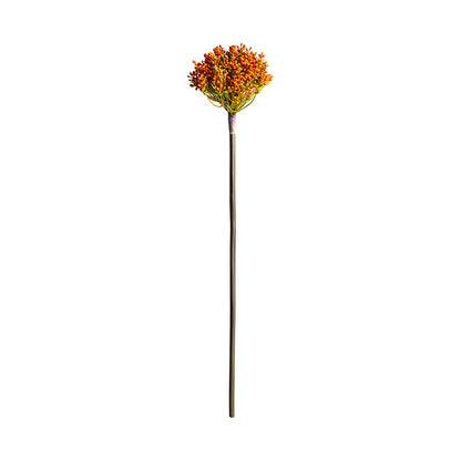 Allium Plant in Orange Colour