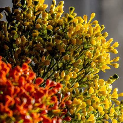 Allium Plant in Orange Colour