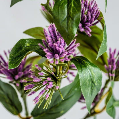 Flower in Mulberry Colour