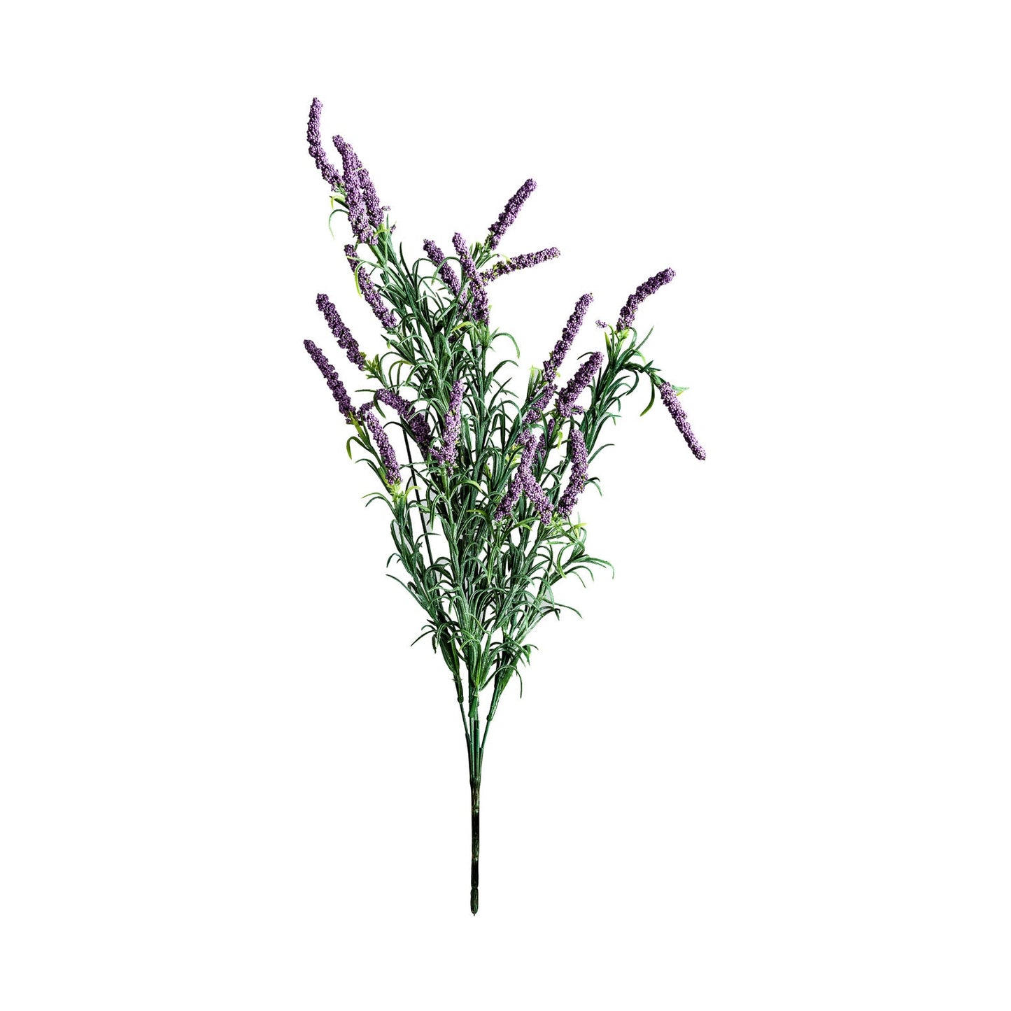 Lavanda Flower in Mulberry Colour