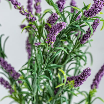 Lavanda Flower in Mulberry Colour