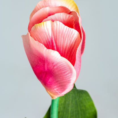 Flor Tulipan en Color Rosa