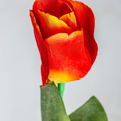 Flor Tulipan en Color Naranja