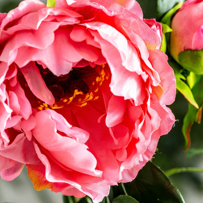 Flor Peonia en Color Rosa