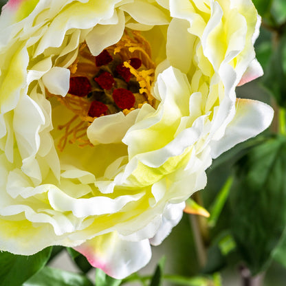 Flor en Color Blanco