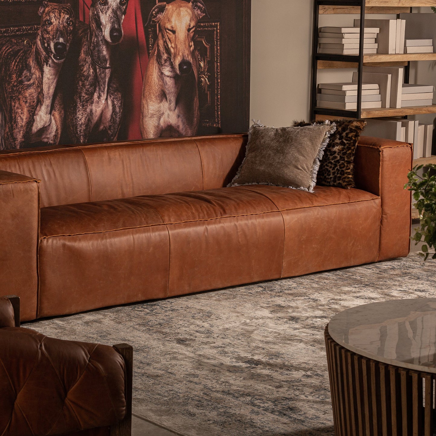 Kurza Sofa in Brown Colour