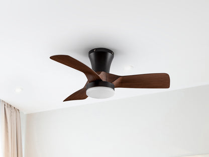 Polaris Black/Walnut Fan