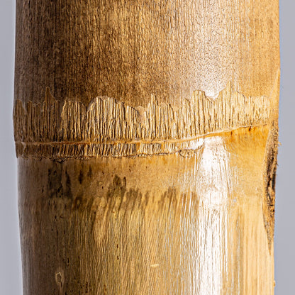 Decorative Cane in Natural Colour