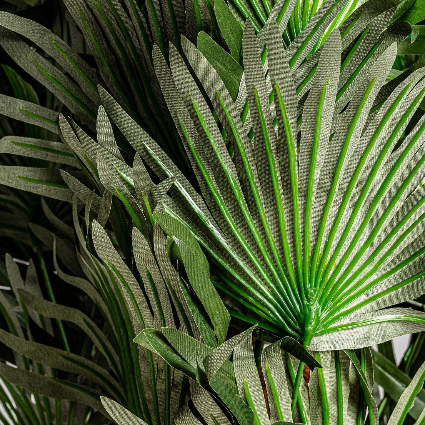 Planta Helecho en Color Verde