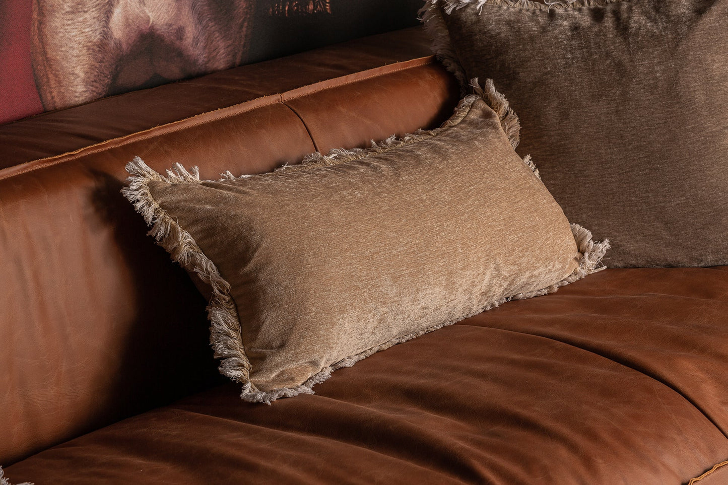 Aglaia Cushion in Beige Colour