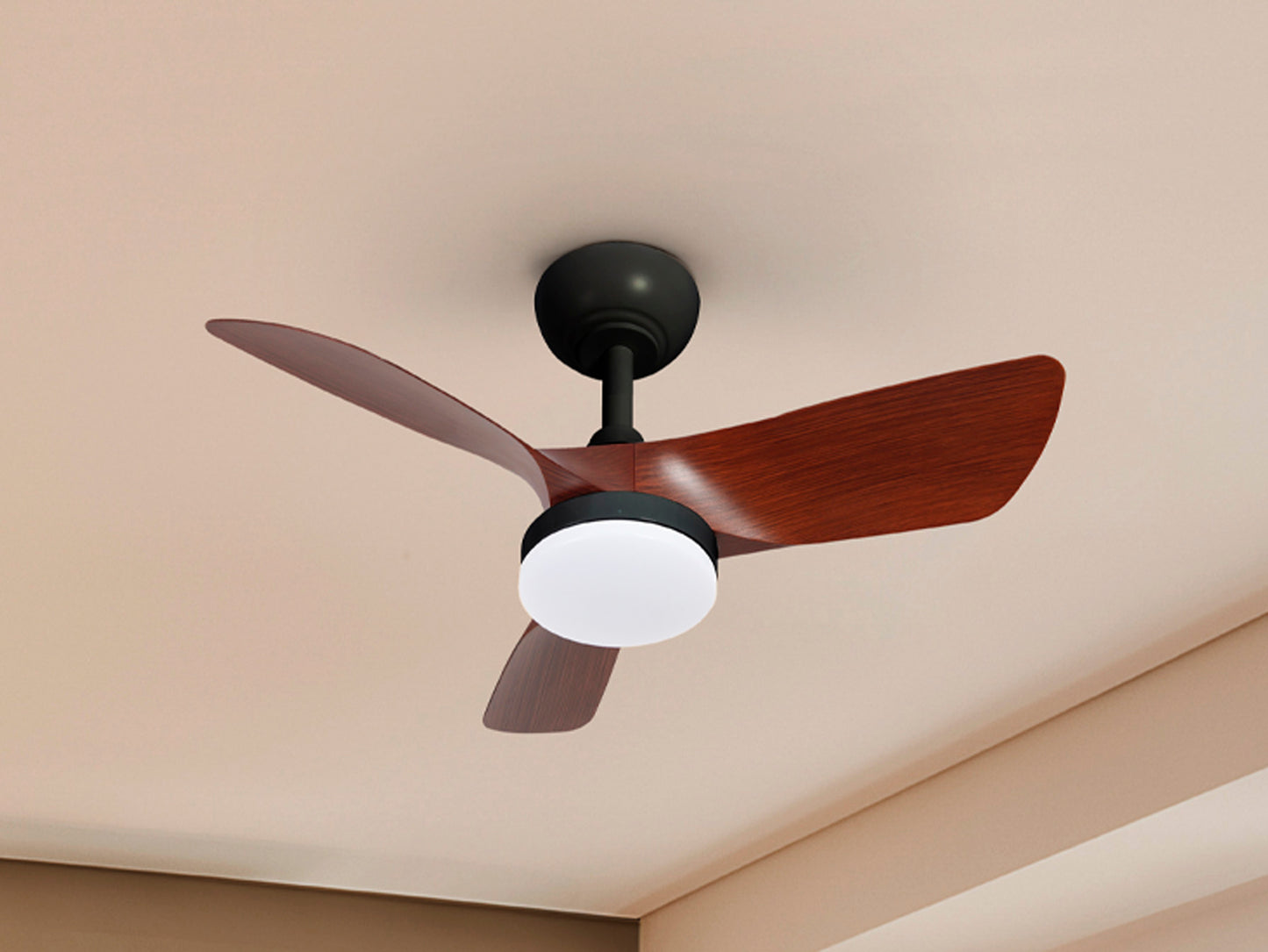 Tropic Black/Walnut Fan