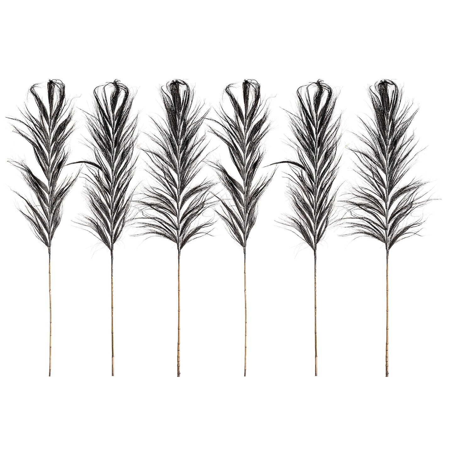 Decaration Branch (Set Of 6) in Black Colour