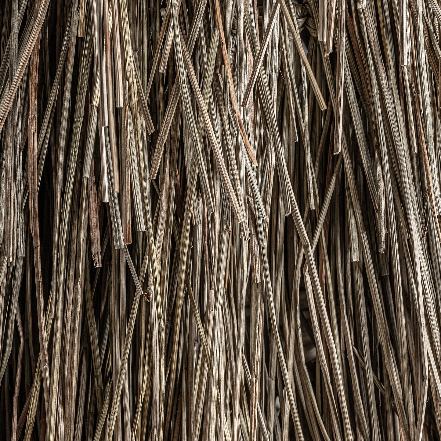 Ceiling Lamp in Brown Colour