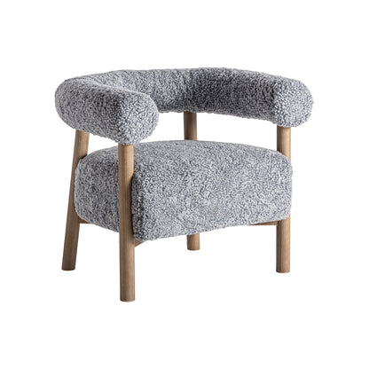 Allitz Armchair in Grey Colour