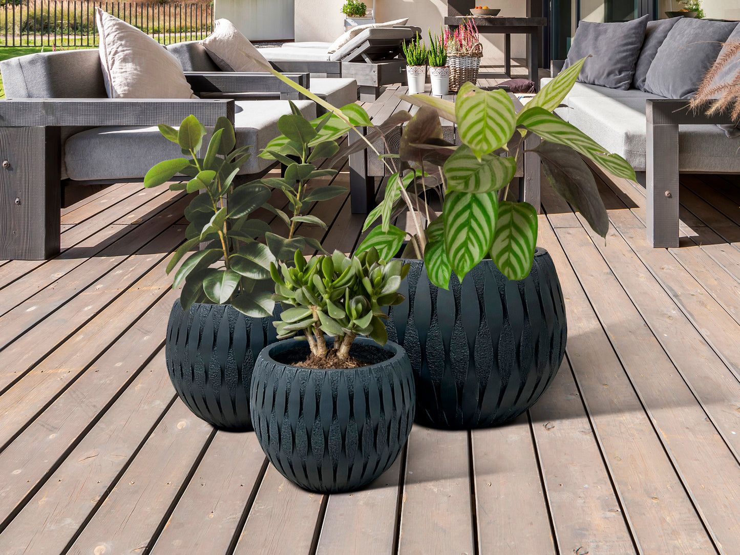 Yuca Set 3 Planters Black