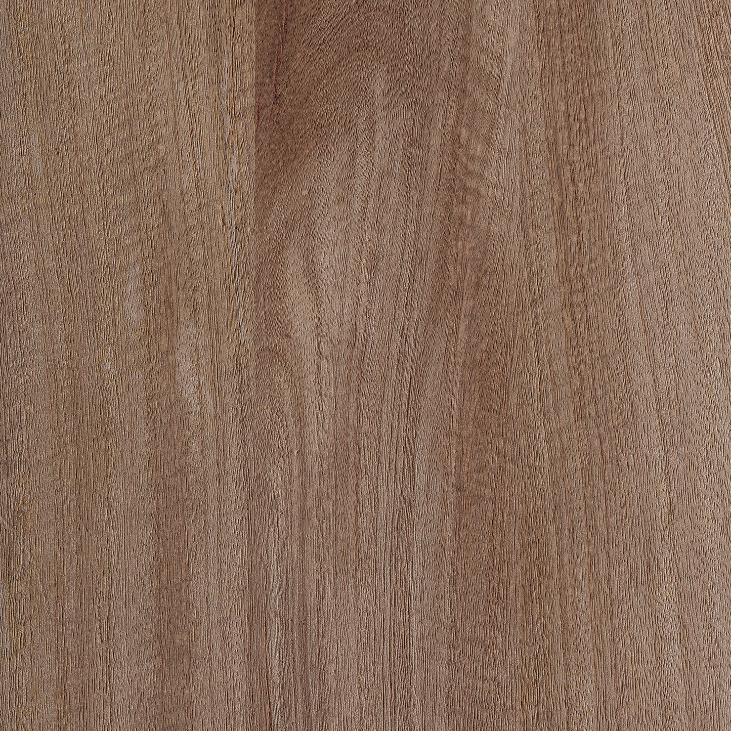 FN=LD37061_37061-05.jpg;SHA256=908ee9611cd400fe259302cc9def438c3daeae8008c334ca02083183e9de5742