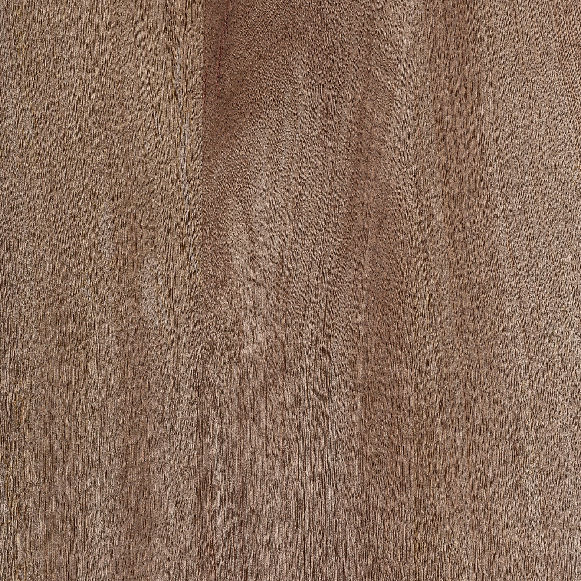 FN=LD37061_37061-05.jpg;SHA256=908ee9611cd400fe259302cc9def438c3daeae8008c334ca02083183e9de5742