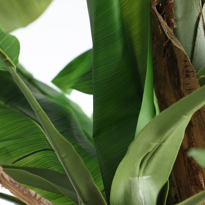 FN=LD37691_37691-01.jpg;SHA256=f0cdda69cb518f62d7ab9796a31153912b7d0734ff08eba1a7cf4dd0f04152de