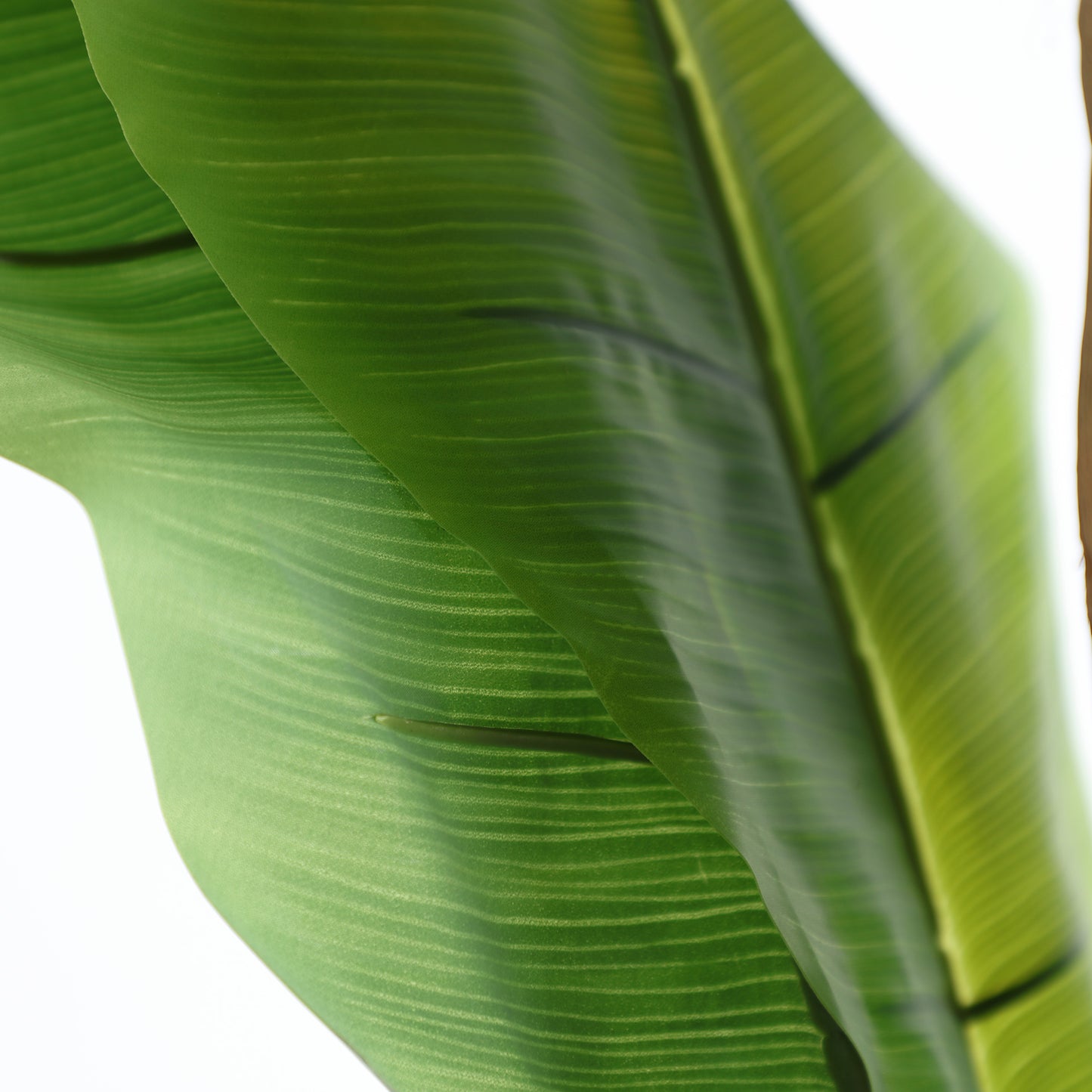 FN=LD37691_37691-02.jpg;SHA256=64f5fc63488e4c274731a205ff00253454ff4522c6278c0c31f7353e83a1b09d