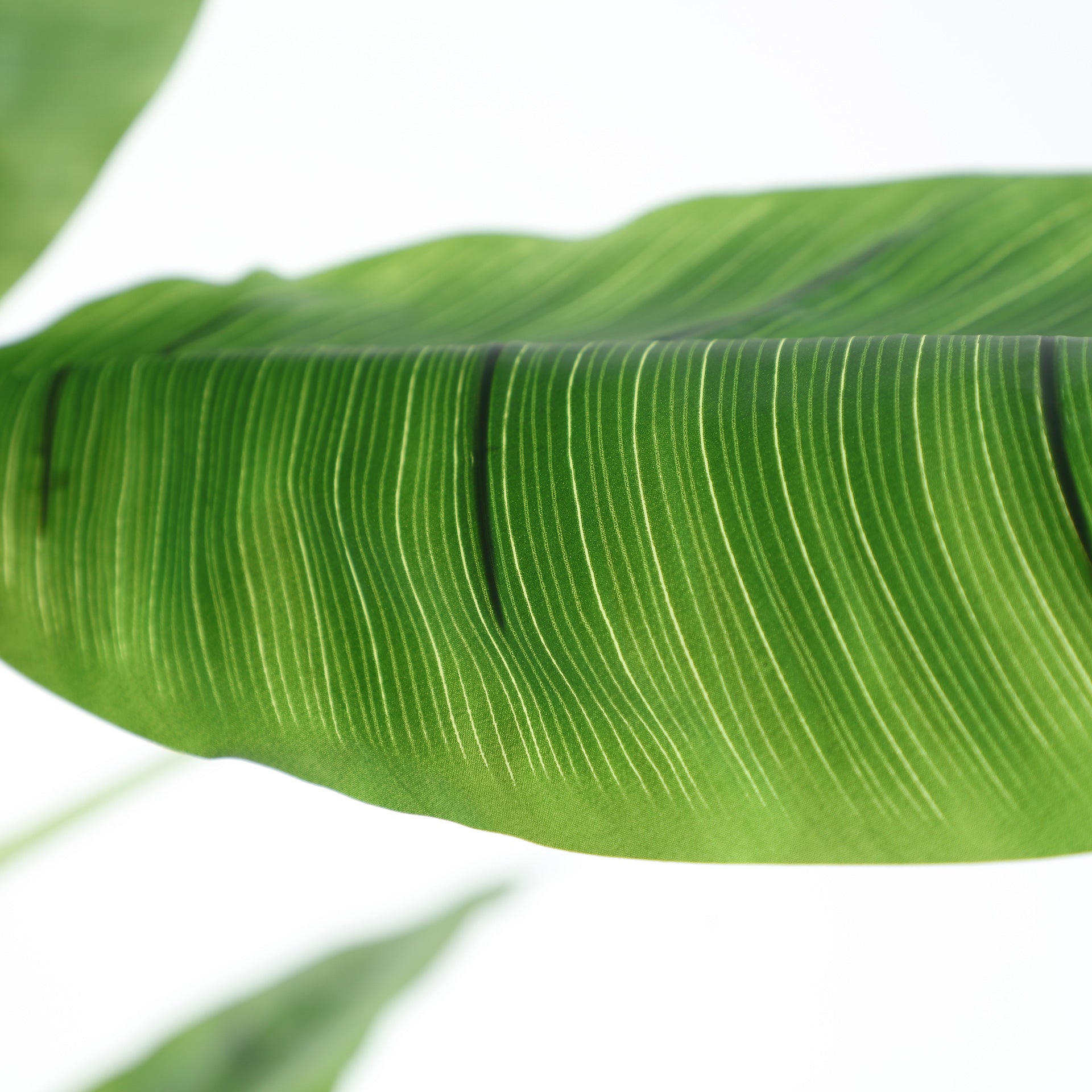 FN=LD37691_37691-03.jpg;SHA256=eda33dea5f7886d582c3d319a7b5058ac3ef8bdb54148a5ab7d650cf7049abc9