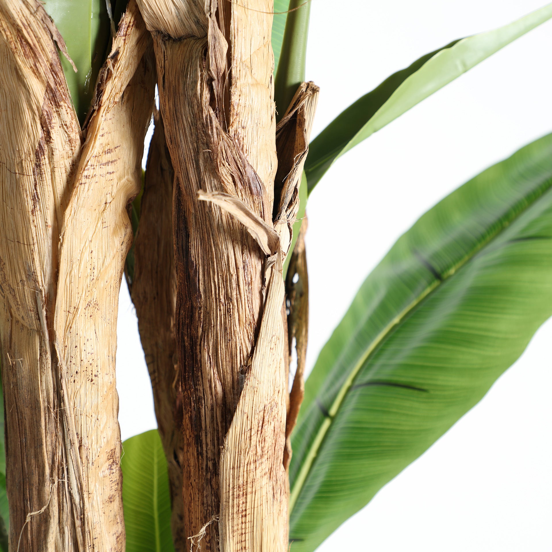 FN=LD37691_37691-04.jpg;SHA256=29991e84511f3cbe0d728d6f47f25173fd6c0b53d9dec5b7fb3c448209801b2b