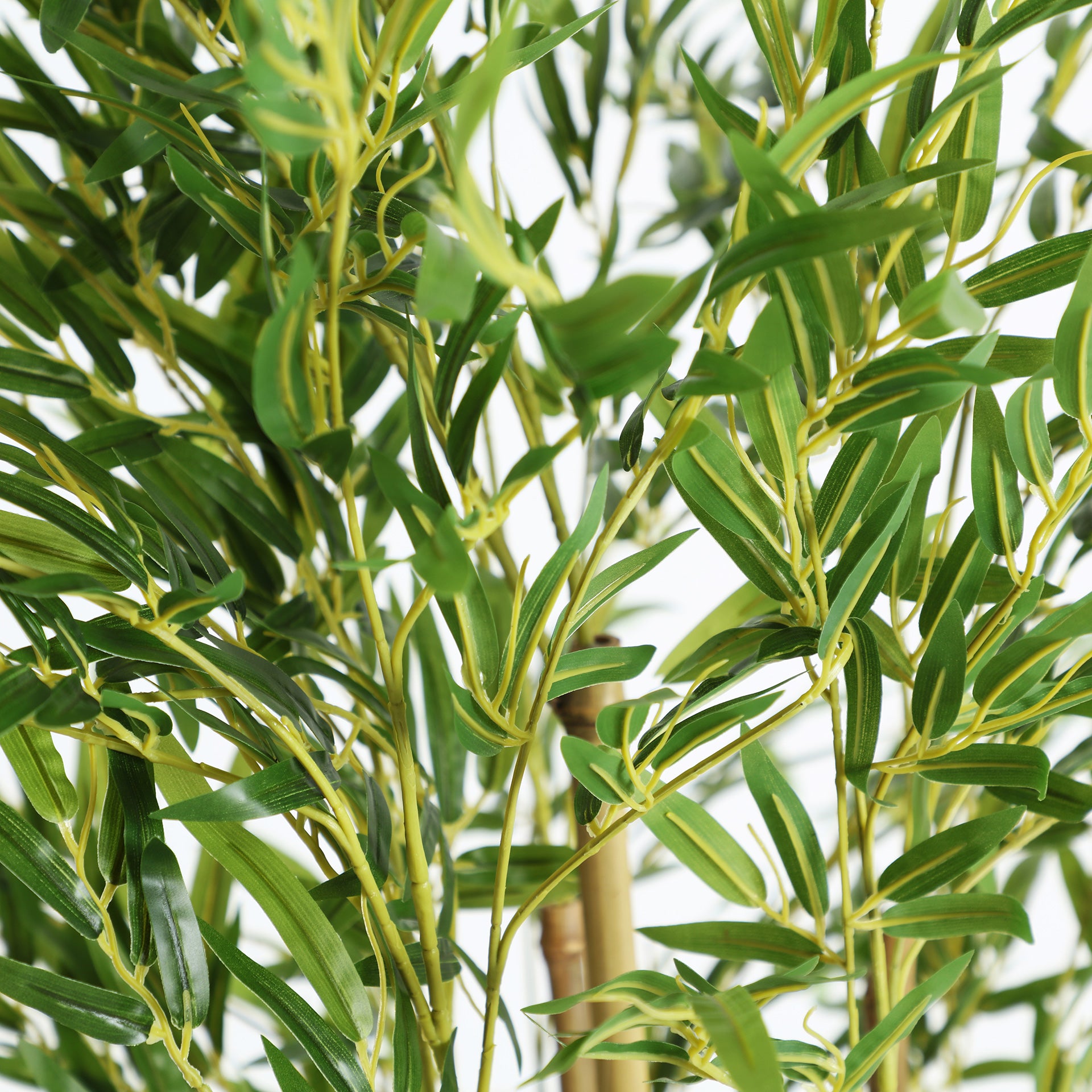 FN=LD37974_37974-01.jpg;SHA256=18eeed953461f9c256a6494f2f49ccc416890a534bbacce878f4b42e456787ee