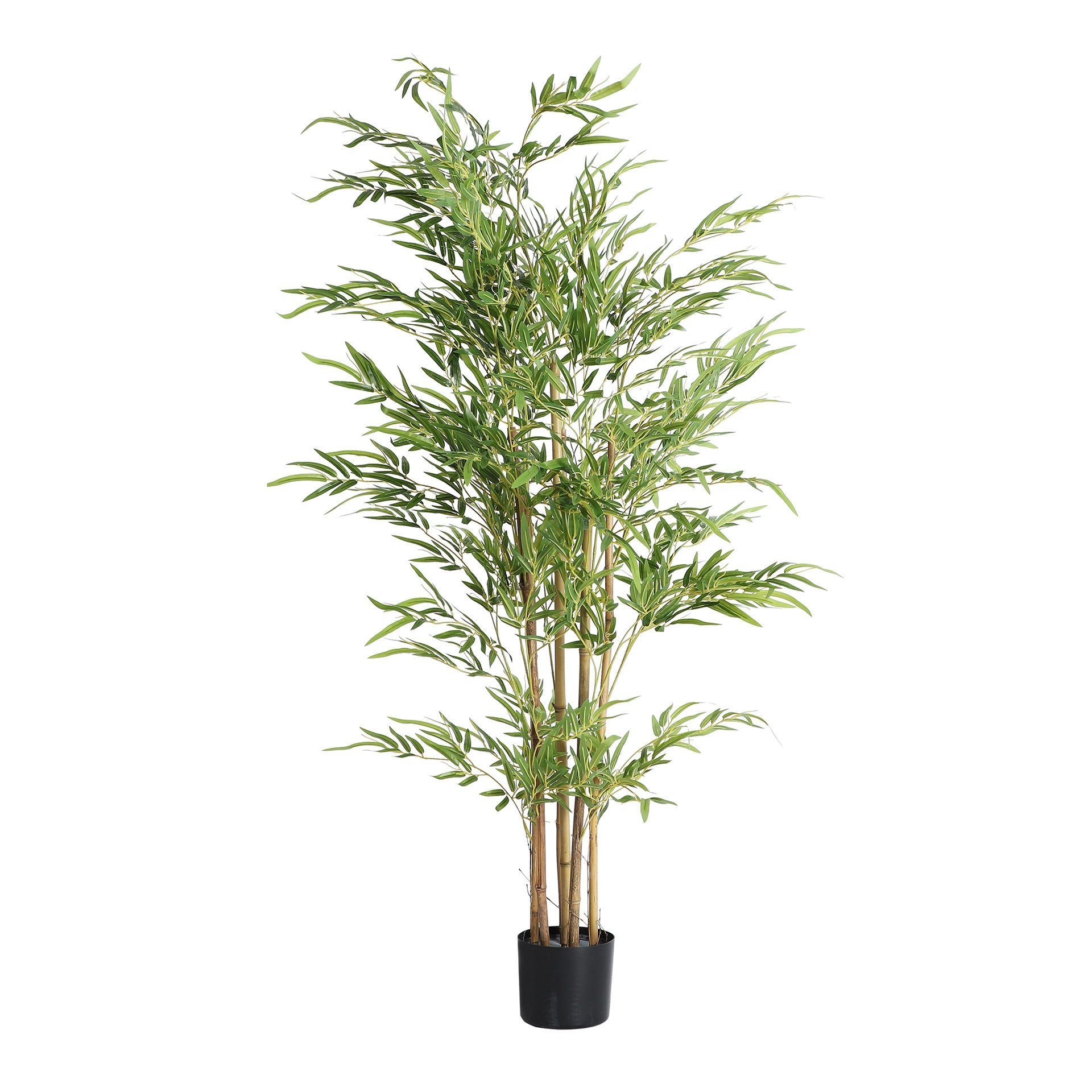 FN=LD37974_37974.jpg;SHA256=fe6b71341b5d2088a3569fe29a63181b2bc50658f1cb1f7ac6bea9904f469fbc