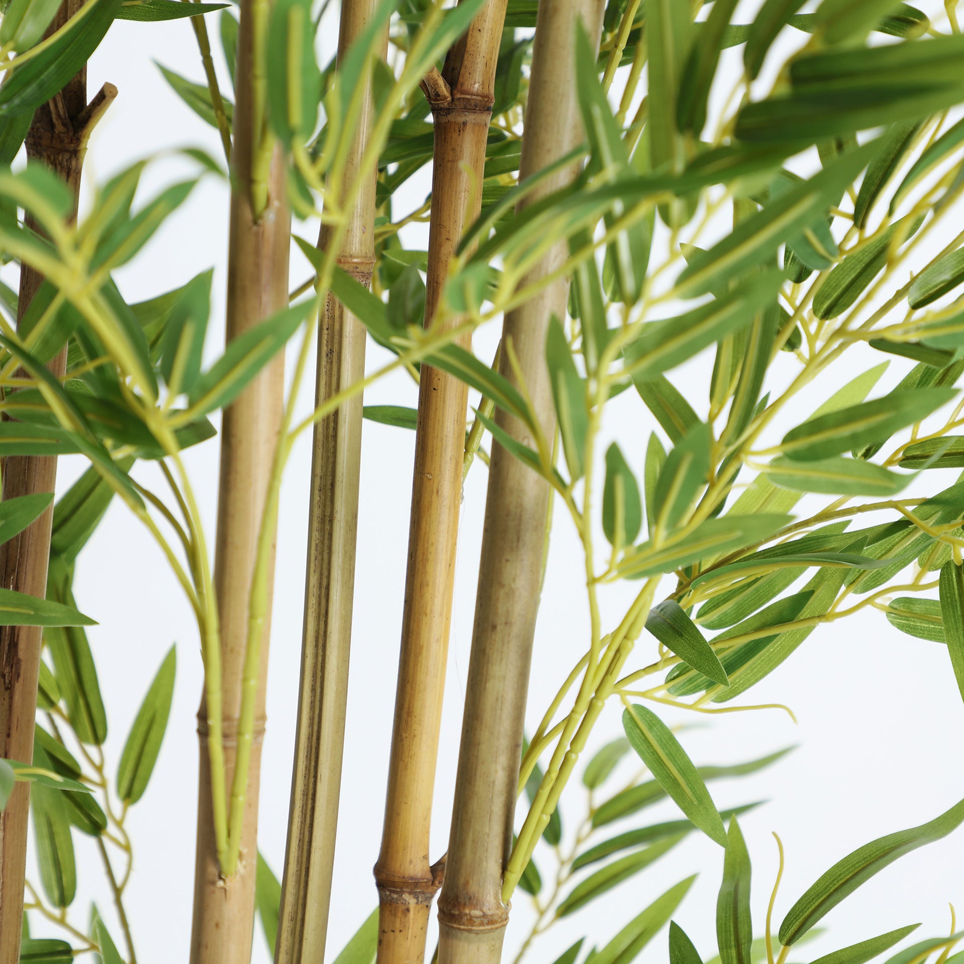 FN=LD37975_37975-02.jpg;SHA256=3fa3956d3d3f41f6e2c0bfc2b5c7919f81bf4070daf8ebf98bc92137548cc556