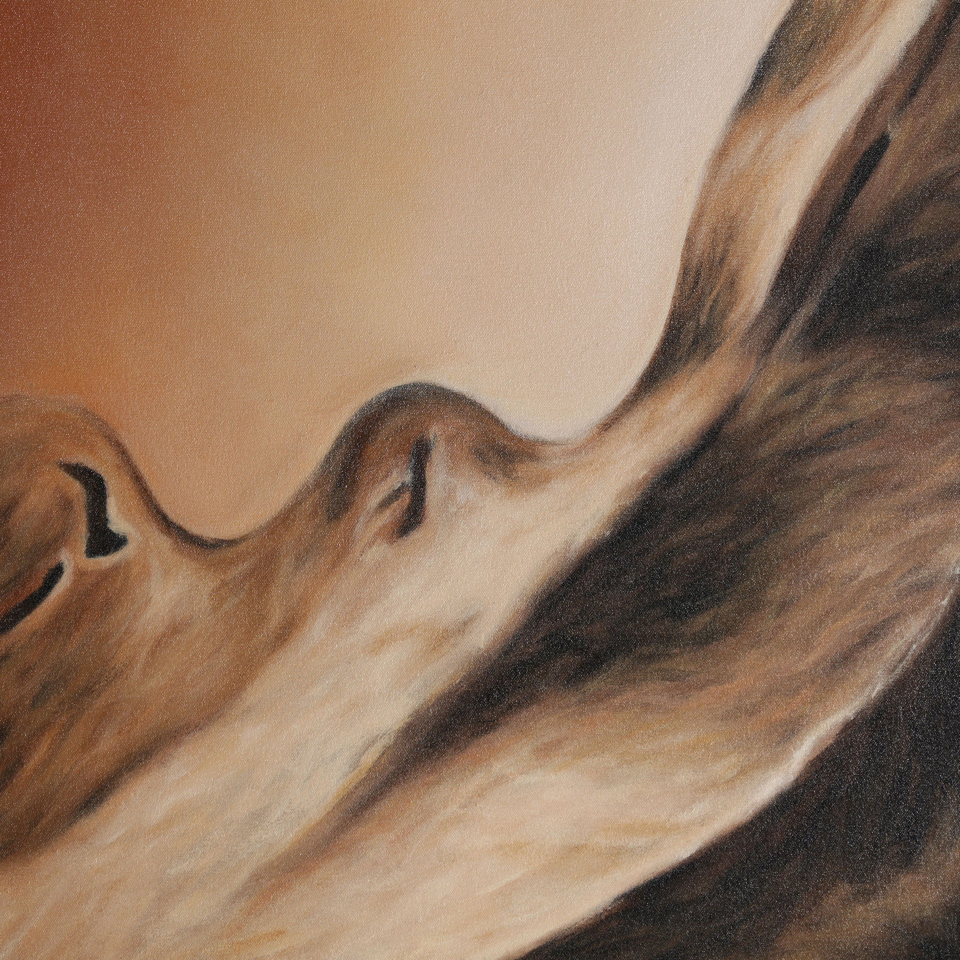 FN=VI32912_32912-01.jpg;SHA256=1bb60f219f3a8b7e18980b63d668180d7f86edd7979d3a9ac4c4c1d57302c28e