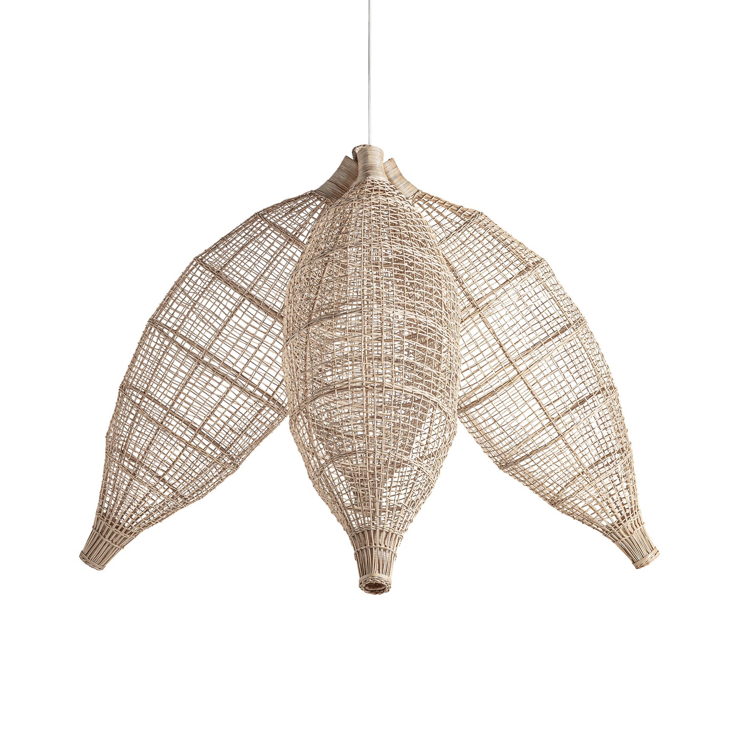 FN=VI35322_35322-02.jpg;SHA256=b8eb70d5e914569c4291c1e887d871e09b43884befd73cb6fbba314ba000e700