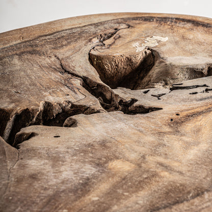 FN=VI35351_35351-05.jpg;SHA256=a8d4efeb403f06e0e19acbe6ee0f9afc362176677a25b076a5688a2bbeccb5db