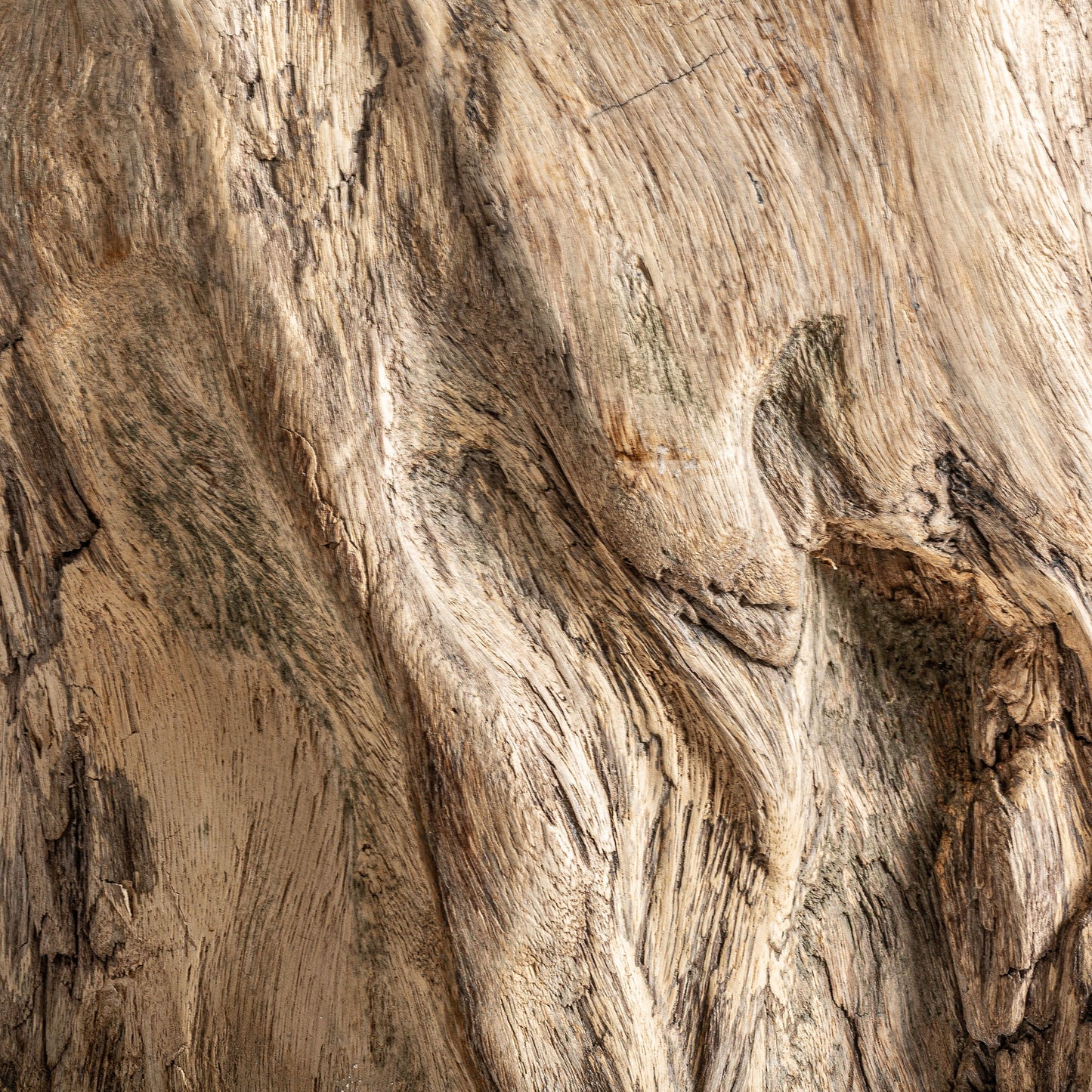 FN=VI35351_35351-07.jpg;SHA256=18c23cadf761f033be4ead81711cee0d6a611eeb418af9bf085d124db6acae19