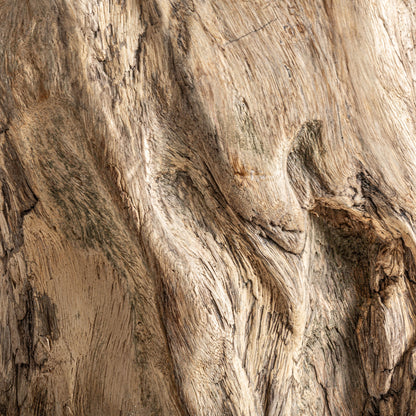 FN=VI35351_35351-07.jpg;SHA256=18c23cadf761f033be4ead81711cee0d6a611eeb418af9bf085d124db6acae19