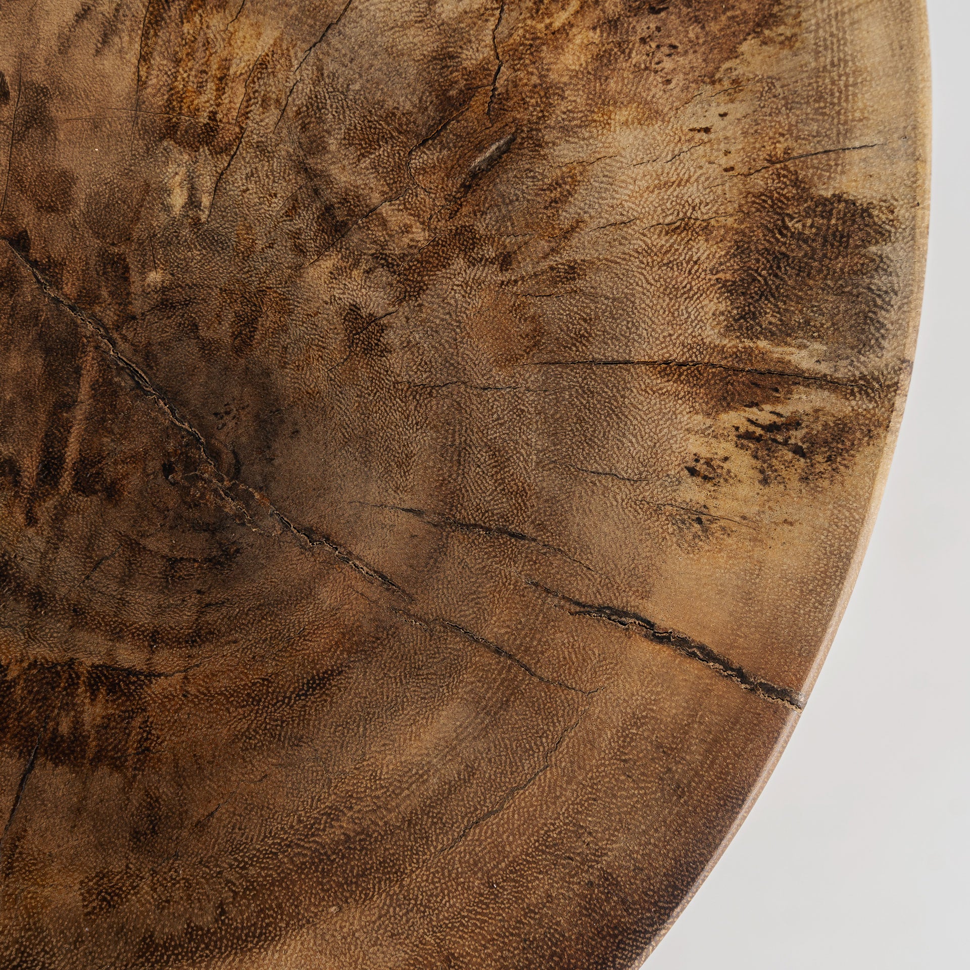 VI35377 - Image 5