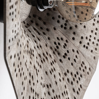 FN=VI35815_35815-02.jpg;SHA256=78689a885e79ffe31c18407bb70f13f31b17ebbdf86f7f033dd1321241d2c6a2