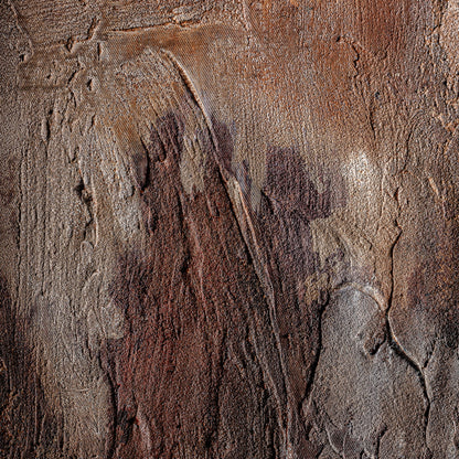 FN=VI35963_35963-01.jpg;SHA256=f942954af97a59e4b1e21811e7fe2d47b4aed18829fefa62fdce4d8194b7bcf1